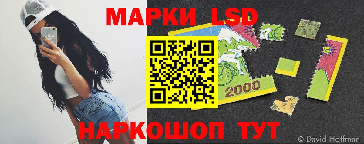 LSD-25 экстази кислота  Лсд 25 экстази  Лсд 25 экстази кислота  Нефтекумск  Вход с VPN 