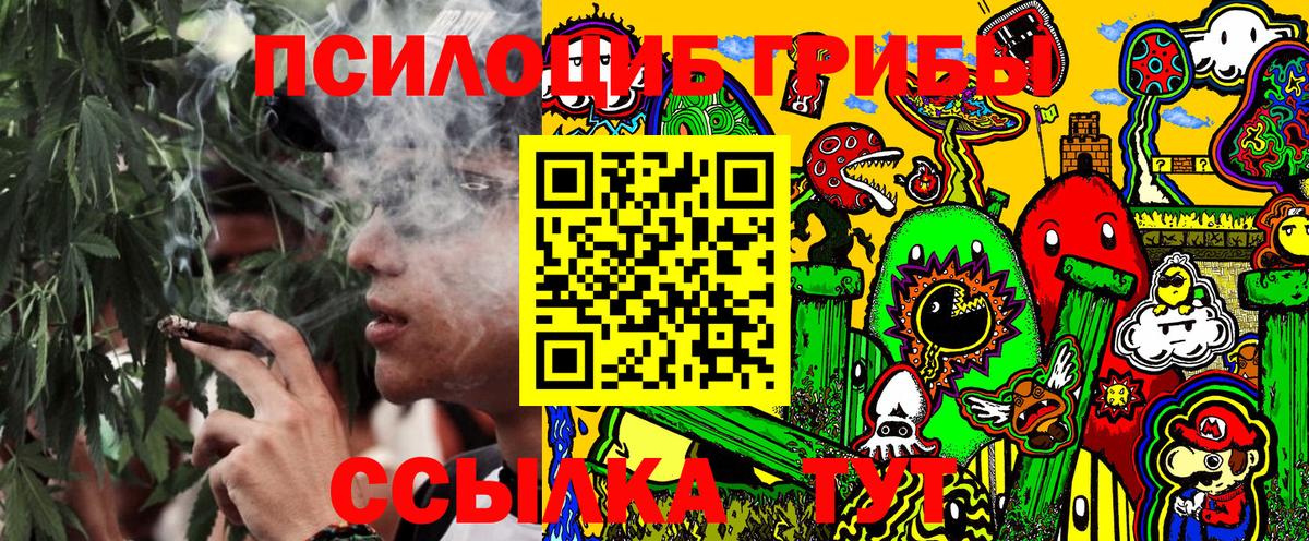 наркошоп  Галлюциногенные грибы Psilocybe  Нефтекумск  Вход с VPN  Псилоцибиновые грибы Magic Shrooms 
